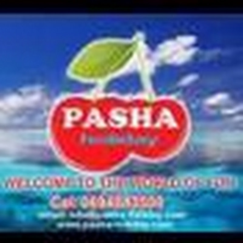 PashaHoliday