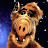 @gordonshumway6821's avatar