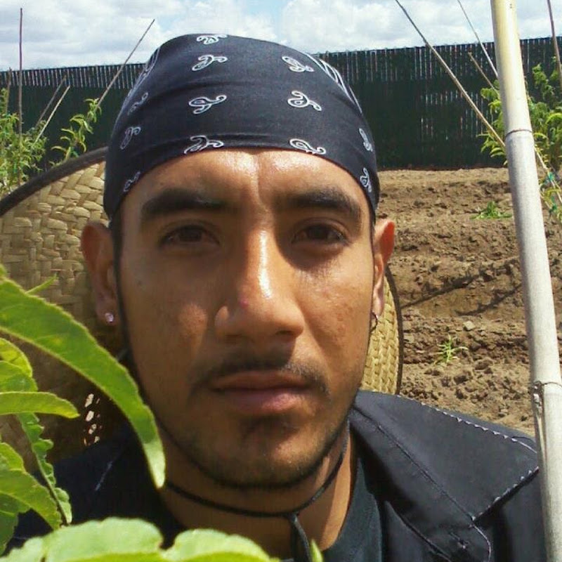 Jesus Francisco Gutierrez Garcia