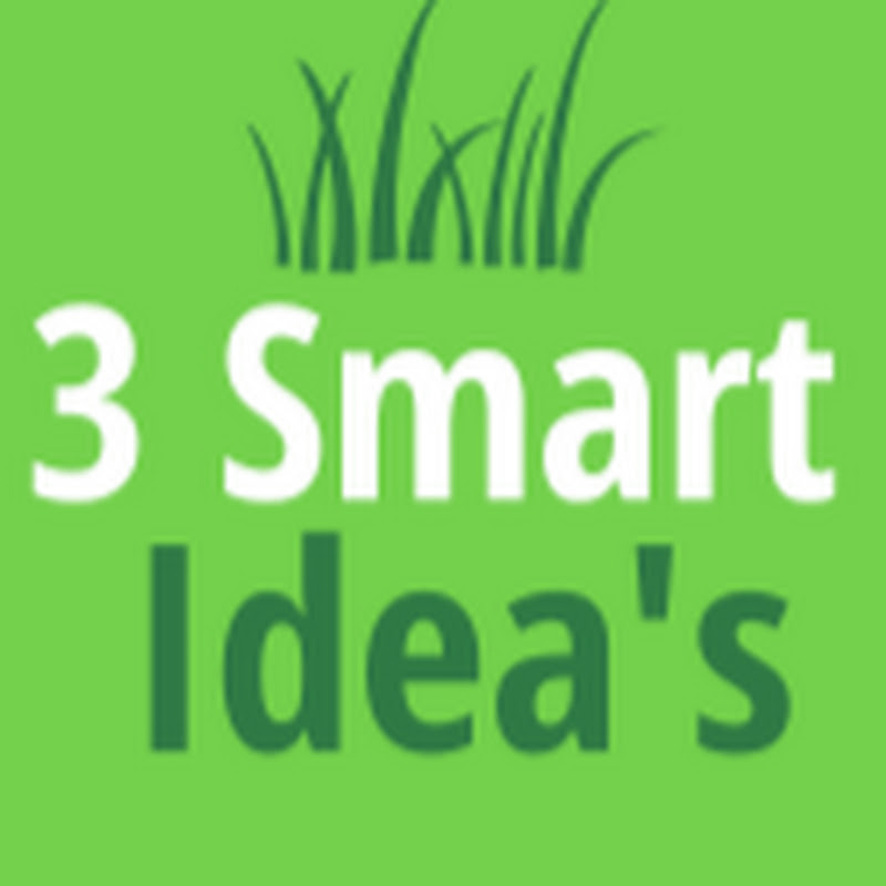 3 Smart Idea's