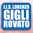 Istituto Gigli Rovato