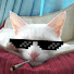 XGLpJyJ7dXM-channel-avatar-Foey