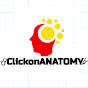 Anatomy Dissection Videos logo