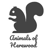 Animals of Herewood