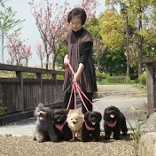 山口えい子