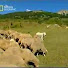 uNgf3qJY40E-channel-avatar-Allevamento del Velino Sirente