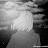 @user-yi5hn9xi6p