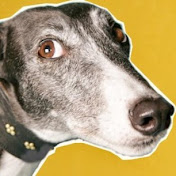 Greyhounds: The Dogumentary