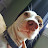@WinstoneSmith's avatar