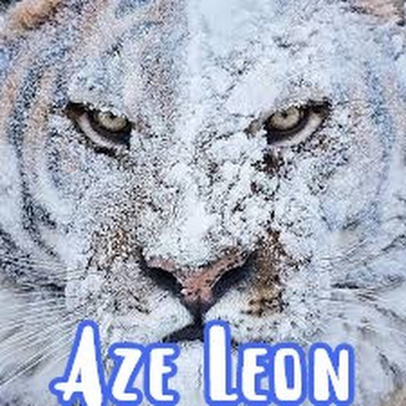 Aze - Leon icon