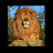 Lion bricoleur