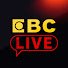 UThkvbGYiOg-channel-avatar-東森新聞 EBC LIVE