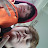 @christhebossvlogs67altenbe74 Avatar