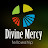 Divine Mercy Fellowship