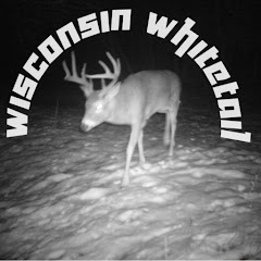 Wisconsin Whitetail net worth