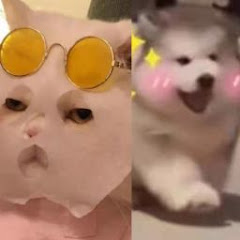 沙雕日常アイコン画像