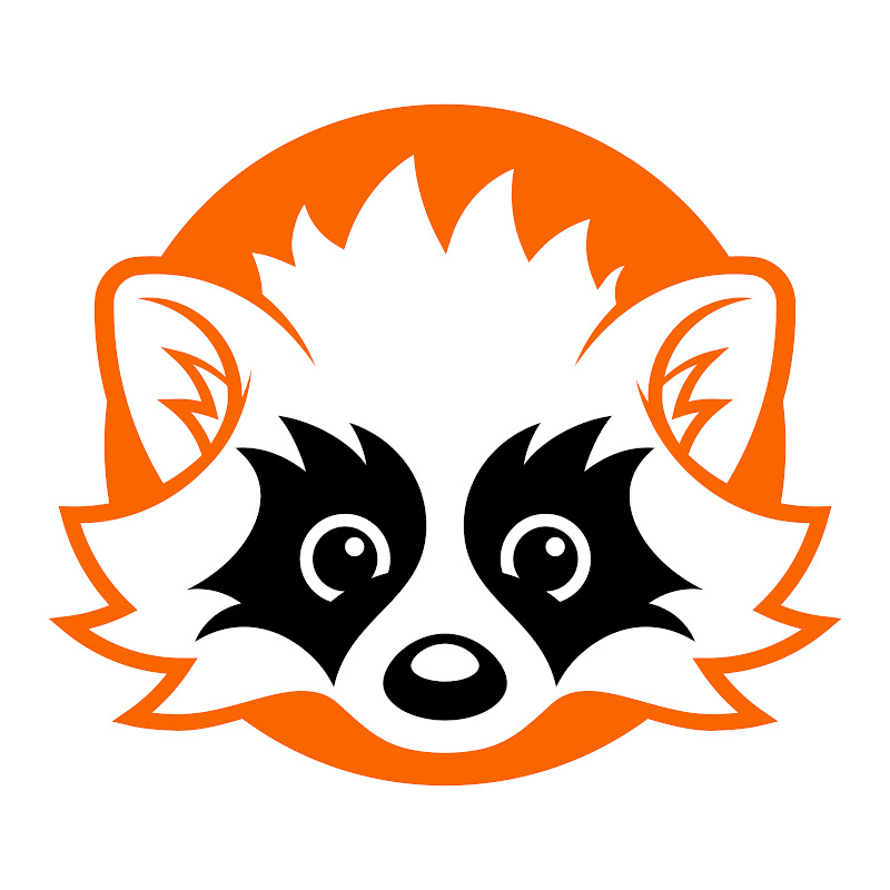 TechRacoon