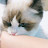 @user-missumissme