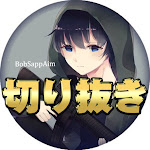 BobSappAim公式切り抜き