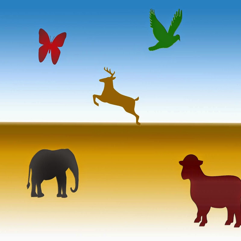 CaringAboutAnimals icon