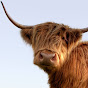 VisitScotland Avatar