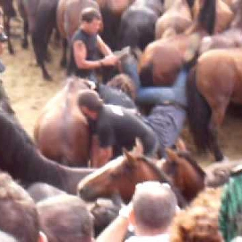 thailandesa