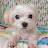 @user-cp1du8hj7x