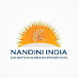 Nandini India Branding Solutions logo