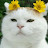 @user-he8we8uo9b