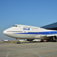 AllNipponAirways ❮全日本空輸❯アイコン画像