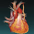JElAfDhLjTs-channel-avatar-S&A Medical Graphics