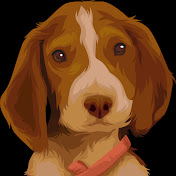 Bailey The Beagle