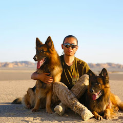 漂狗邦漂泊アイコン画像