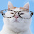 かご猫 Blog