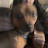 @matthewanderson6047's avatar