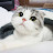 @user-hf1qz8zm8m
