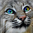 1kbBqWyZ9UM-channel-avatar-RenaitheCat