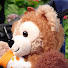 4AXQHoPpHBE-channel-avatar-33 Disney World