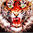 hrtrA38WHjU-channel-avatar-Andy W Gaming