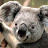 @user-op4ox1it9x