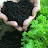 North East Biosolids & Residuals Association