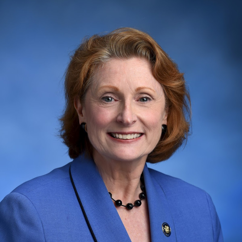 Jo Anne Simon