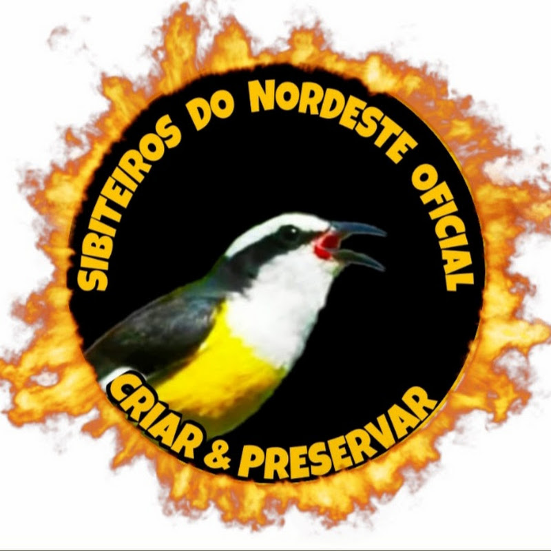 SIBITEIROS DO NORDESTE OFICIAL