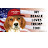 @beagletrump7566