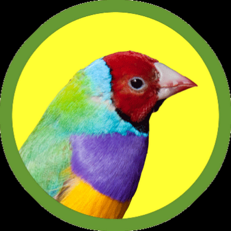 El Jardí dels Ocells logo