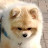 @법사-l8o