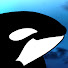 kKefyicExKY-channel-avatar-Balena Productions