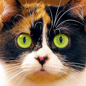 SlivkiShow YouTube channel image