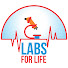 GbHb7FYCj5I-channel-avatar-LabsforLifeProject