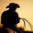 iRPz1UpZIdI-channel-avatar-Sheriff of Sodium
